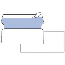 CF25 BUSTE EDERA S/FIN 11X23CM (0593022AM)