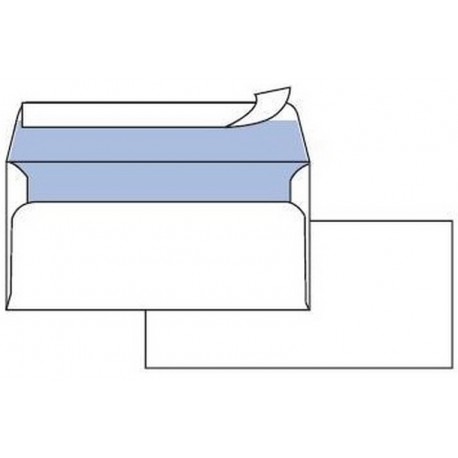 CF25 BUSTE EDERA S/FIN 11X23CM (0593022AM)