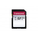 8GB SD CARD CLASSE 10 (TS8GSDC300S)