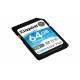 64GB SDXC CANVAS GO PLUS 170R (SDG3/64GB)