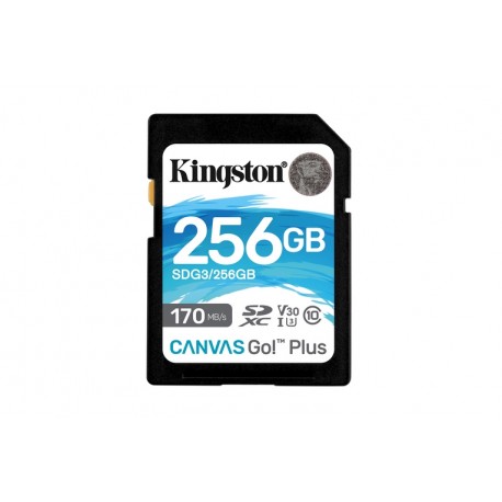 256GB SDXC CANVAS GO PLUS 170R (SDG3/256GB)