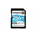 256GB SDXC CANVAS GO PLUS 170R (SDG3/256GB)