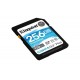 256GB SDXC CANVAS GO PLUS 170R (SDG3/256GB)