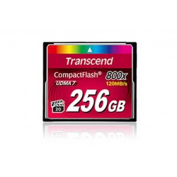 256GB CF CARD (800X TYPE I ) (TS256GCF800)