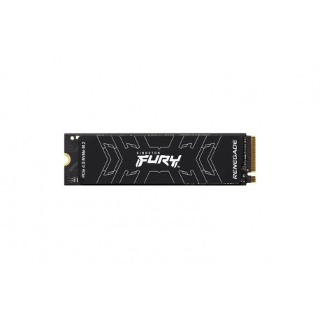 500G FURY RENEG. M.2 2280 NVME SSD (SFYRS/500G)