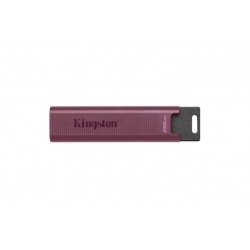 256GB DATATR.MAX TYPE-A USB3.2 GEN2 (DTMAXA/256GB)