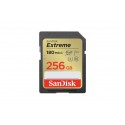 EXTREME 256GB (SDSDXVVCNN-256GR)