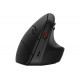 HP 925 ERGONOMIC VERTICAL MOUSE (6H1A5AA)