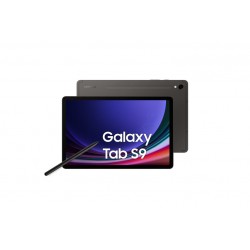 GALAXY TAB S9 WIFI 256GB 11 (SM-X710NZAEEUE)