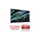 SDS A95 65 QD OLED 4K GOOGLE TV (XR65A95LAEP)
