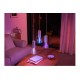 HUE WHITE AND COLOR AMBIANCE LIGHTG (929003151402)