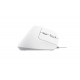 BAYO II ERGONOMIC MOUSE WHT (25397)