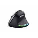 BAYO ERGO WIRELESS MOUSE ECO (24731)