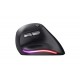 BAYO ERGO WIRELESS MOUSE ECO (24731)