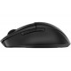 HP 685 COMFORT DUAL-MODE MOUSE (8T6M0UT)