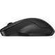 HP 255 DUAL WIRELESS E BT MOUSE (8R3U1AAABB)