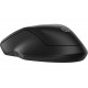 HP 255 DUAL WIRELESS E BT MOUSE (8R3U1AAABB)