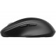 HP 510 UF RECHBL WIRELESS MOUSE (9C2F6AAABB)